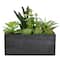 10" Mixed Succulent Plants in Rectangular Planter